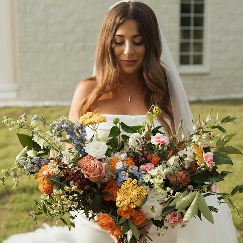 Marigold 4
